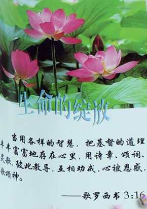 生命的绽放