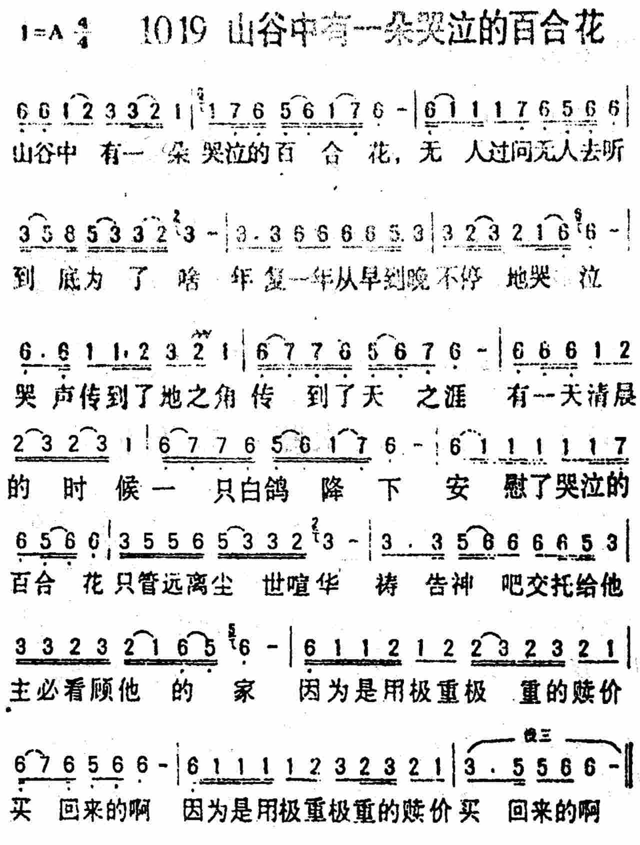 山谷中有一朵哭泣的百合花 第 1 页