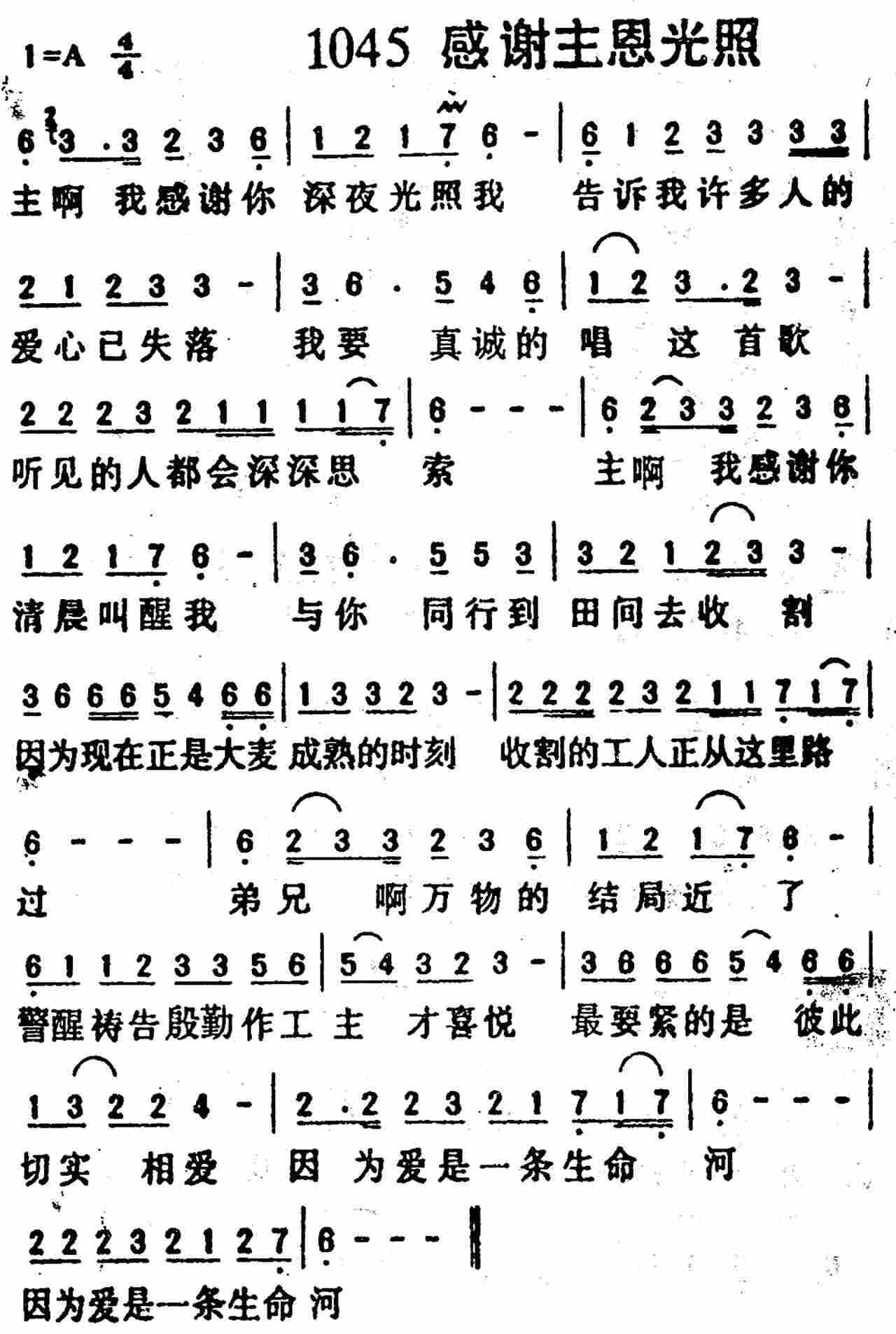 感谢主恩光照 第 1 页