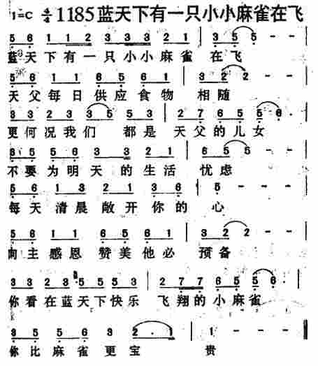 蓝天下有一只小小麻雀在飞 第 1 页