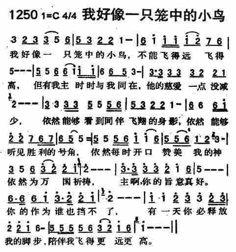 我好像一只笼中的小鸟 第 1 页
