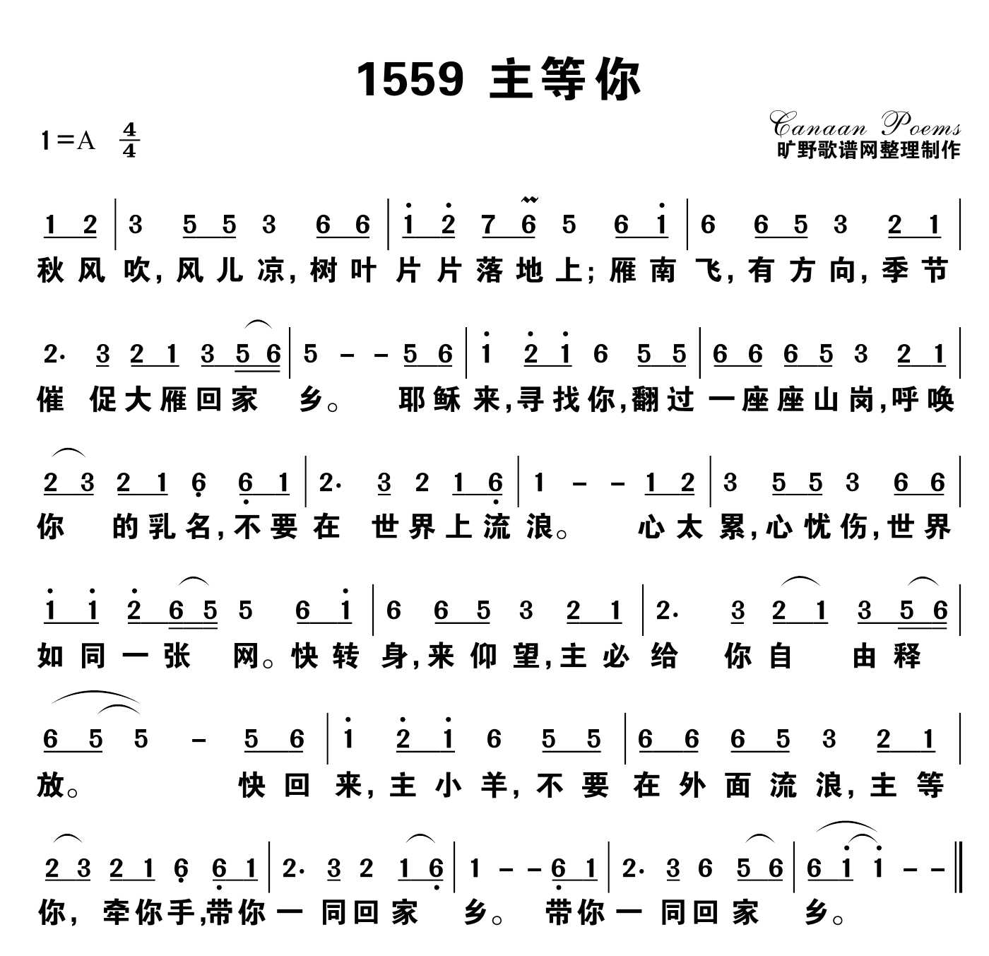 主等你 第 1 页
