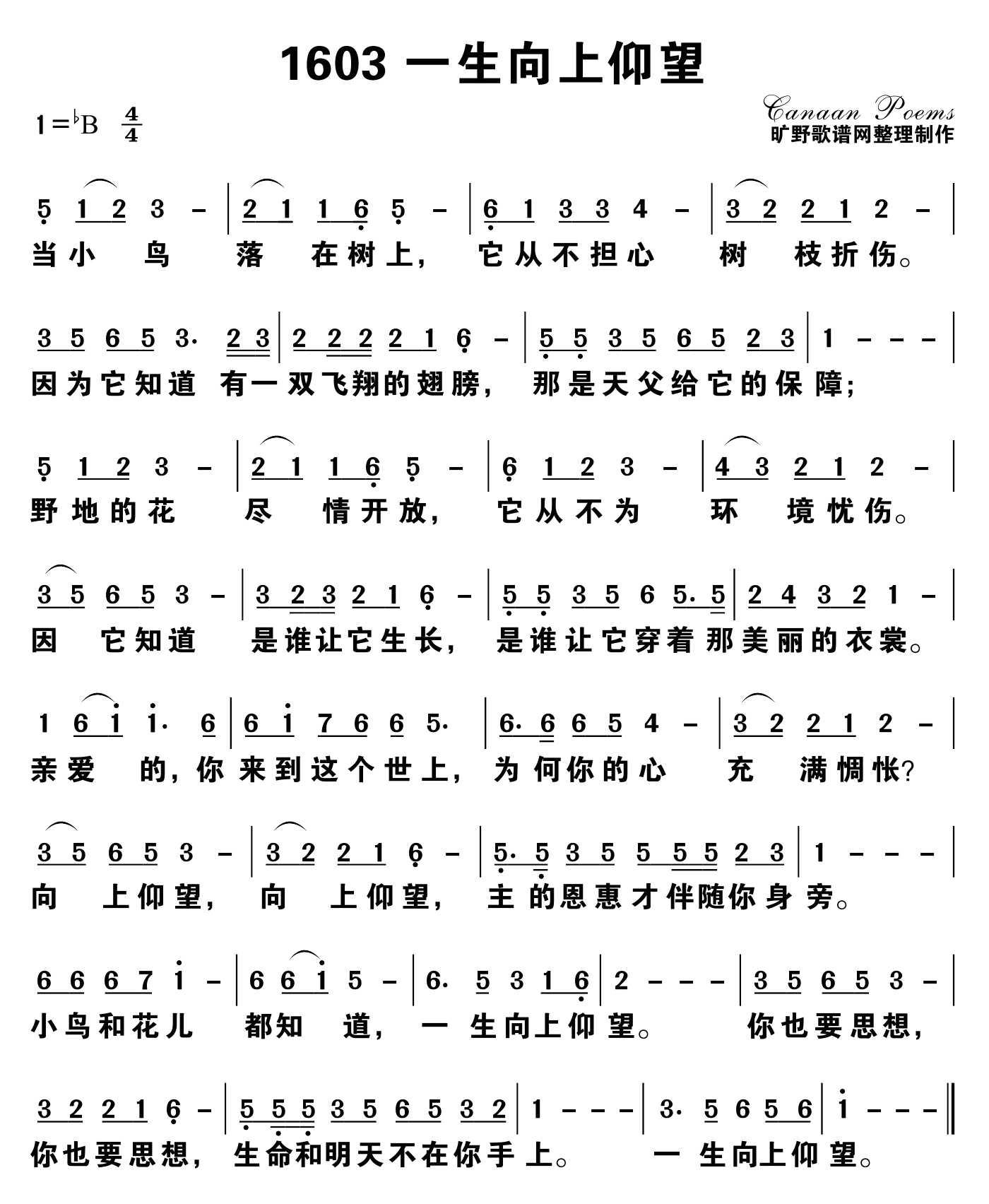 一生向上仰望 第 1 页