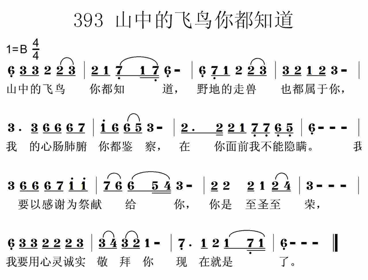山中的飞鸟你都知道 第 1 页