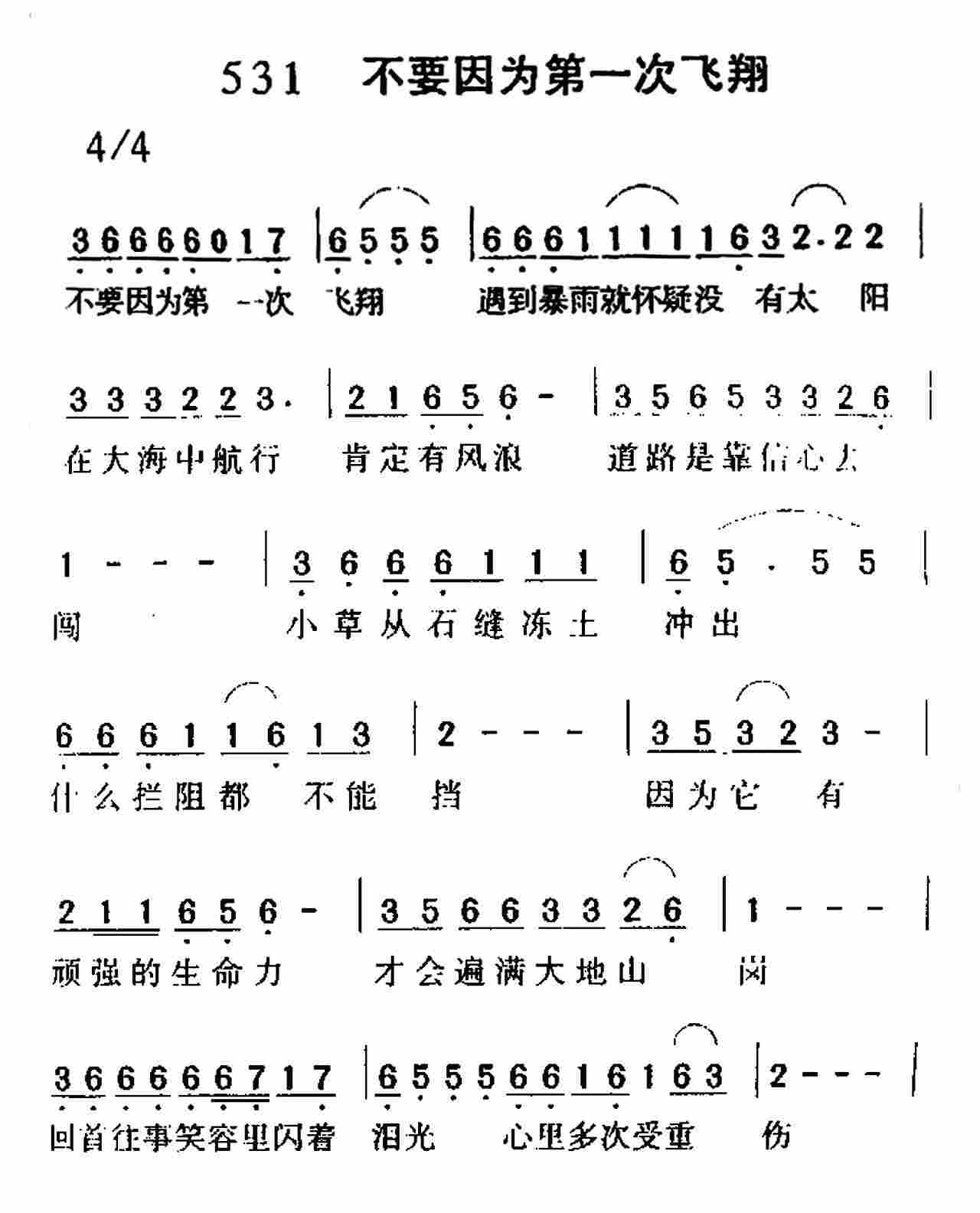 不要因为第一次飞翔 第 1 页