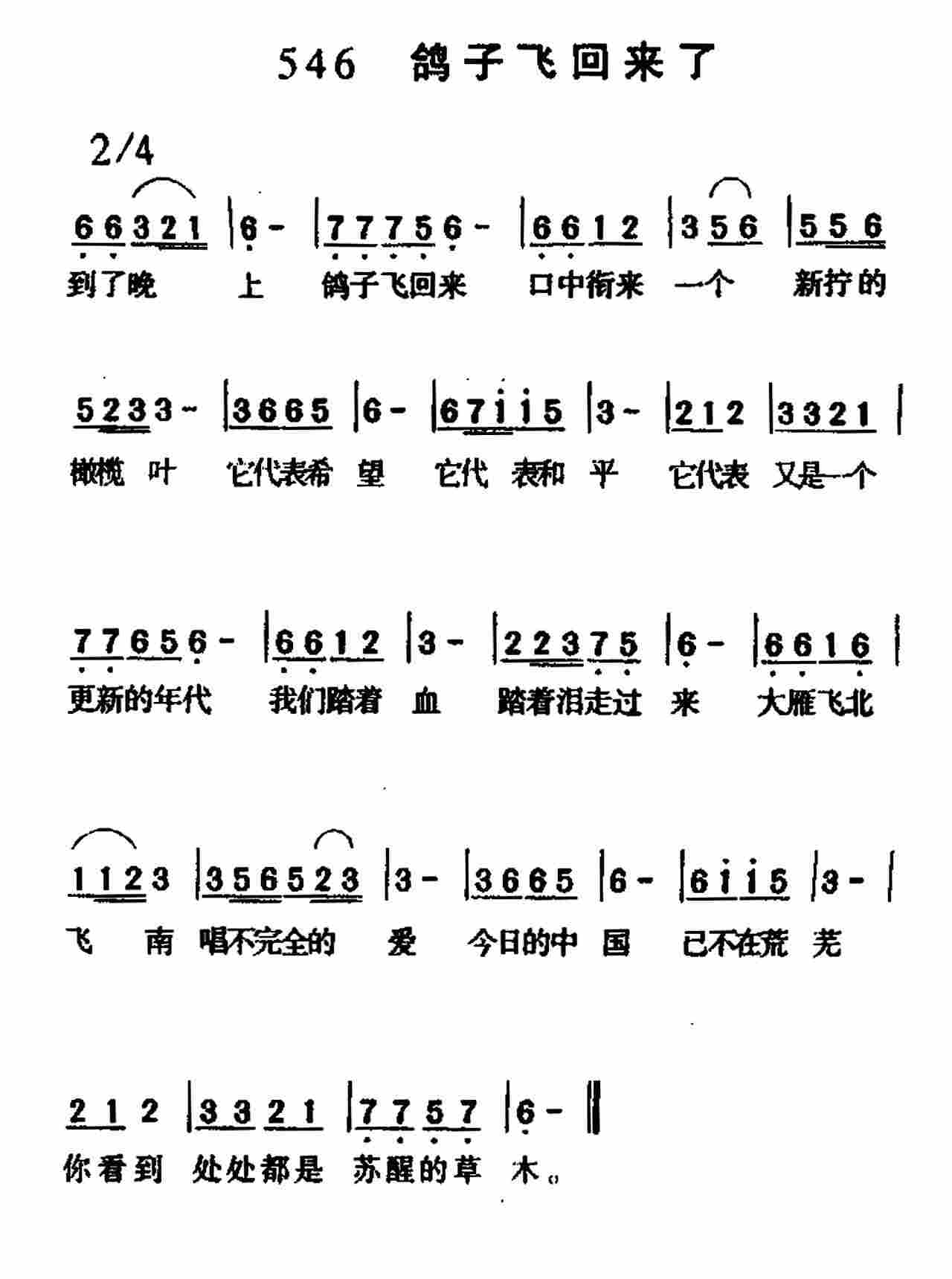 鸽子飞回来了 第 1 页