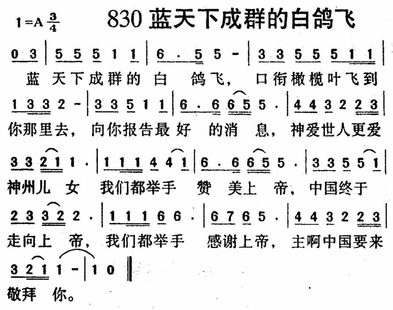 蓝天下成群的白鸽飞 第 1 页