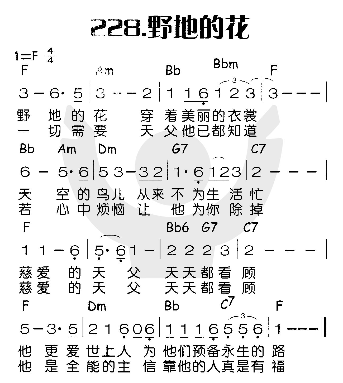 野地的花 第 1 页
