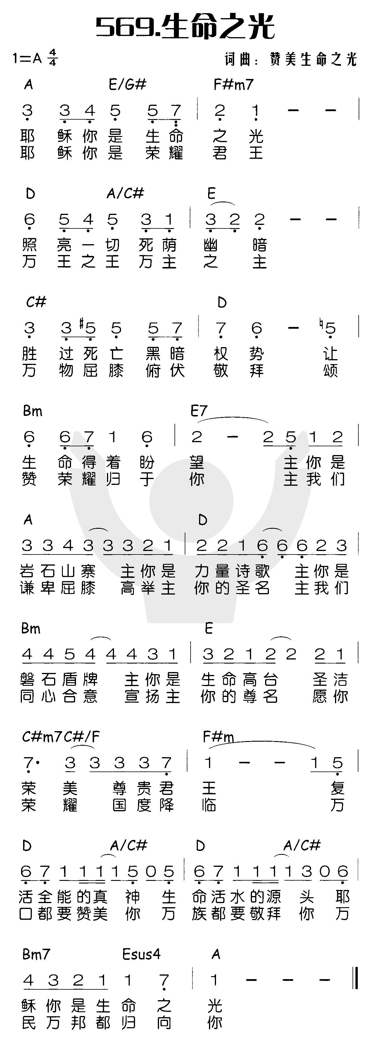 生命之光 第 1 页