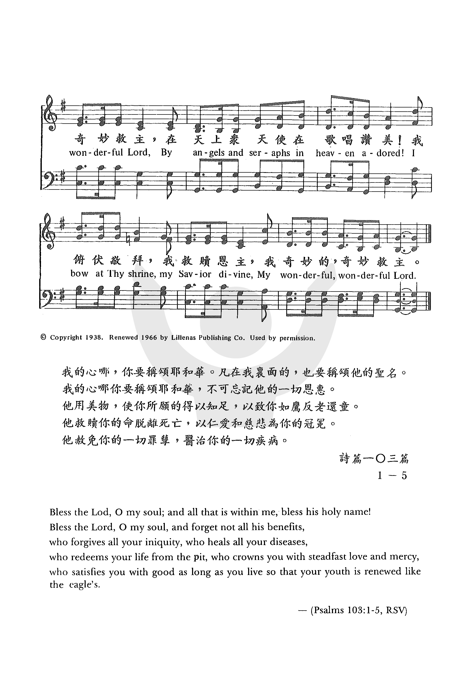 我奇妙的救主 第 2 页