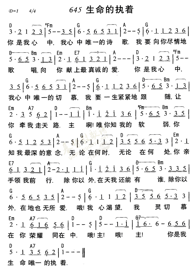 生命的执着 第 1 页