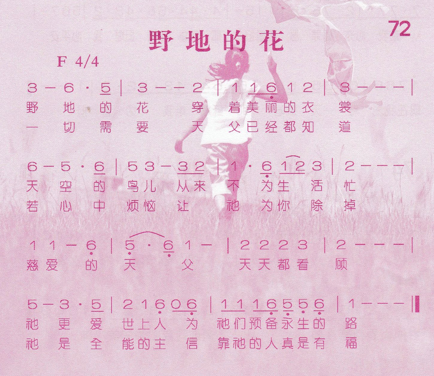 野地的花 第 1 页