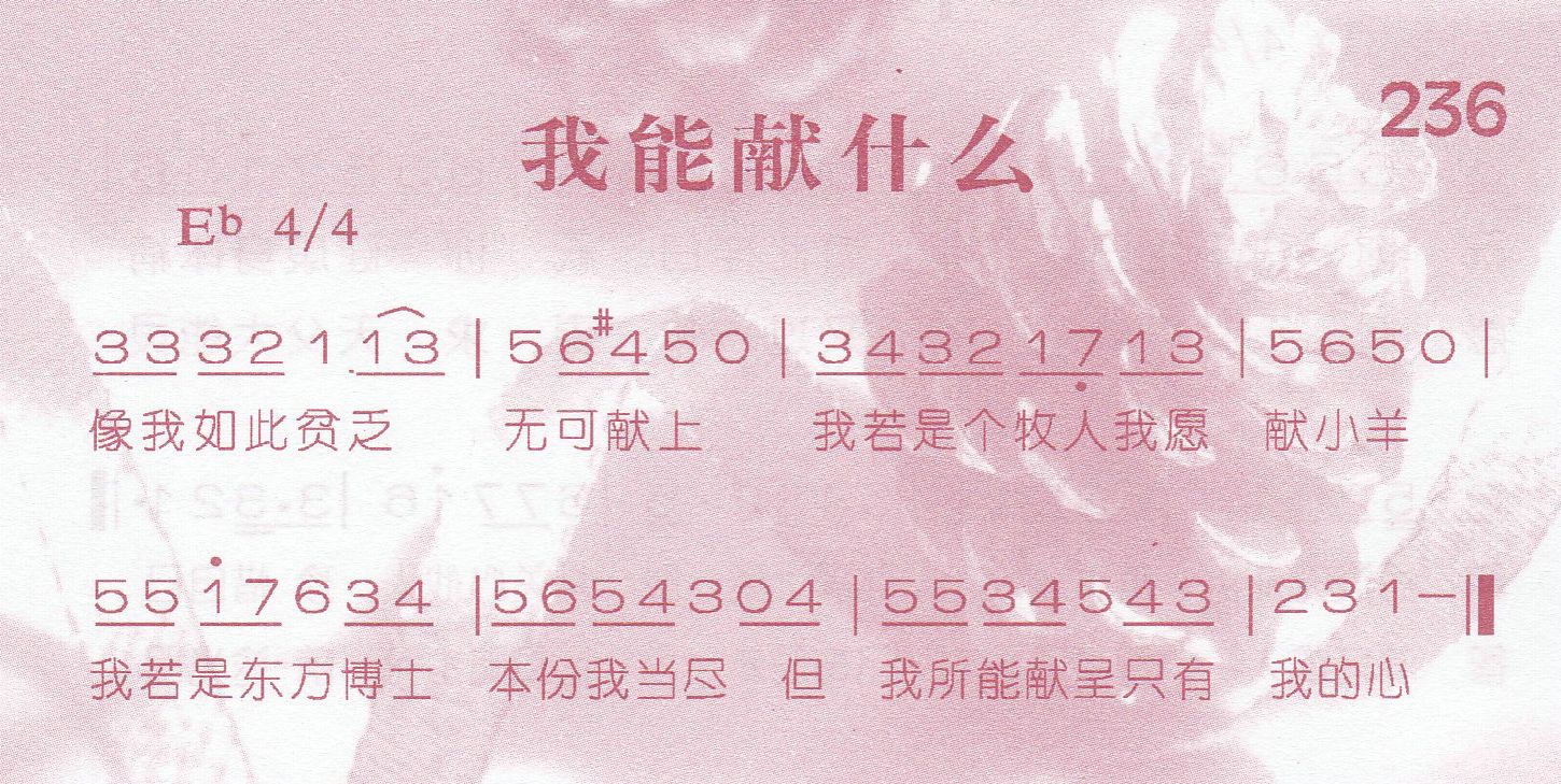 我能献什么 第 1 页