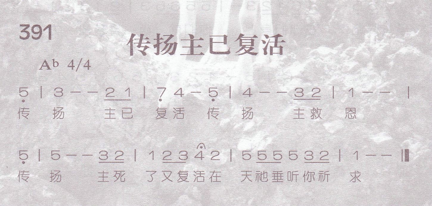 传扬主已复活 第 1 页