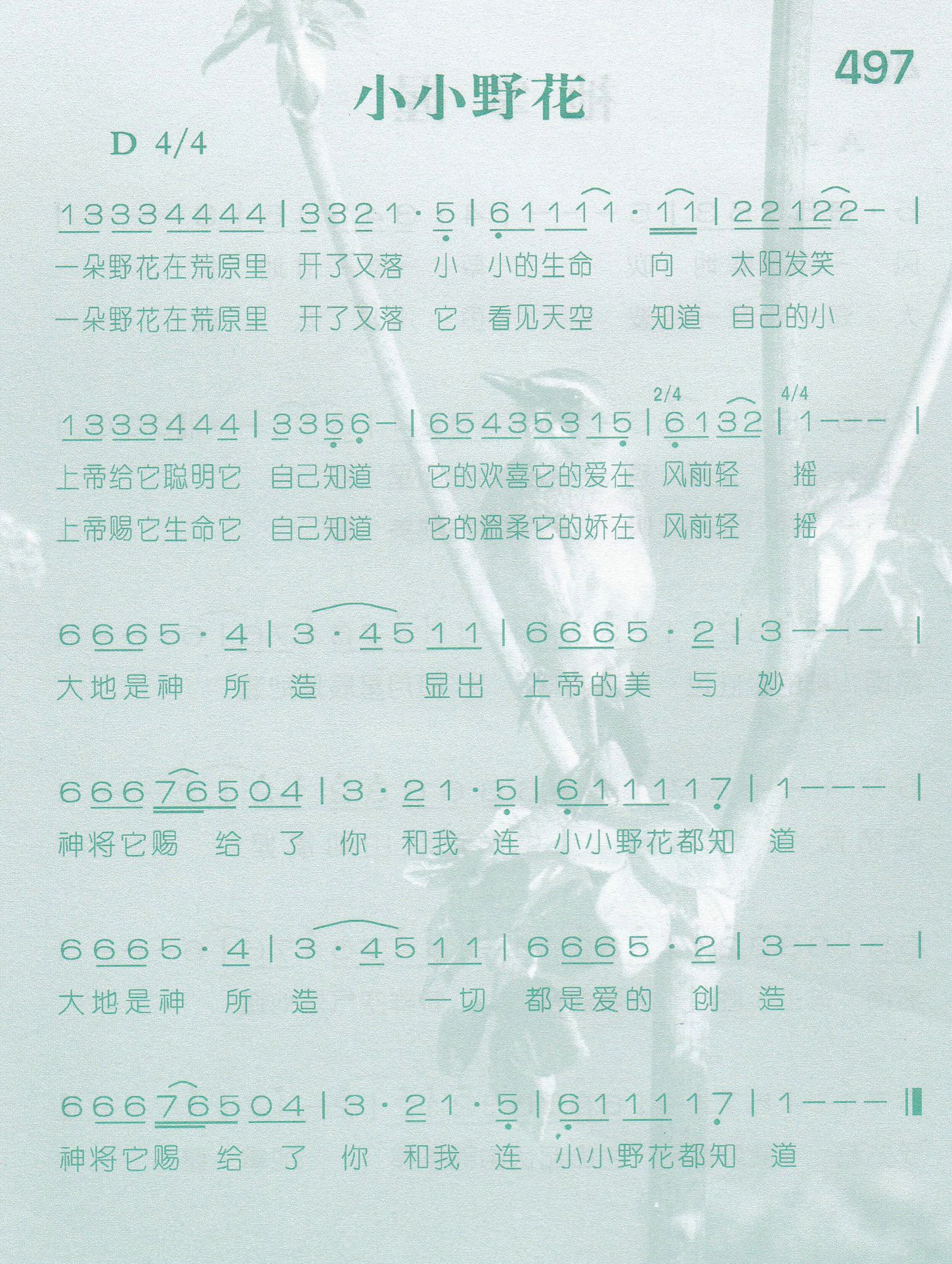 小小野花 第 1 页