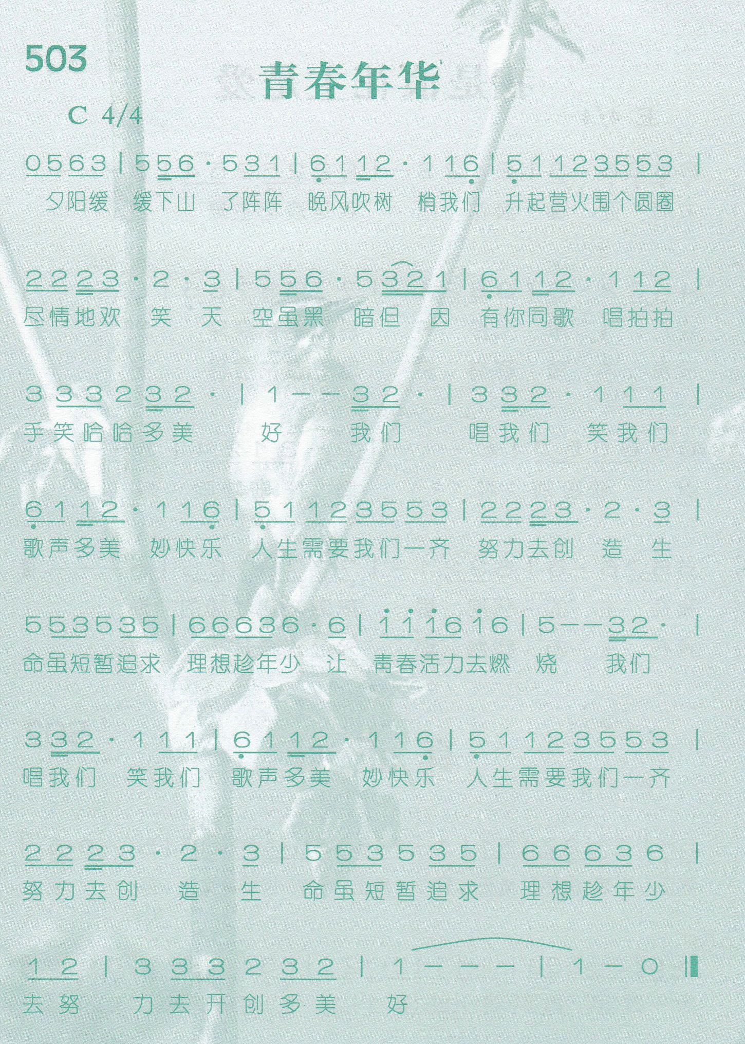 青春年华 第 1 页