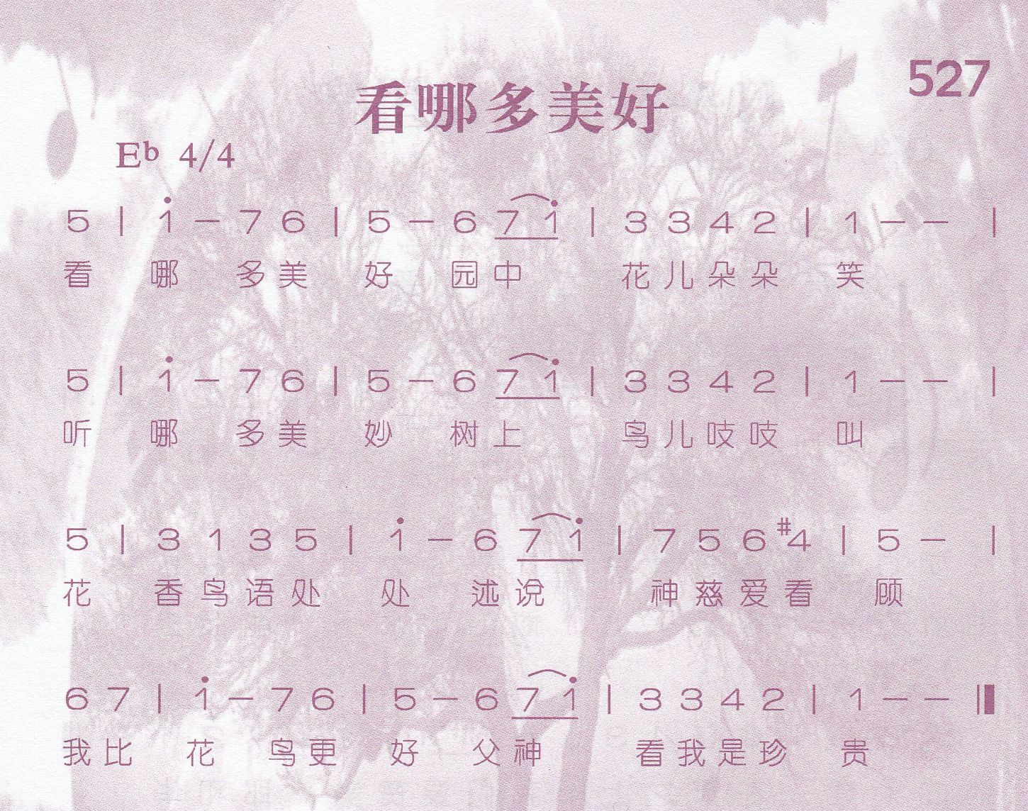 看哪多美好 第 1 页
