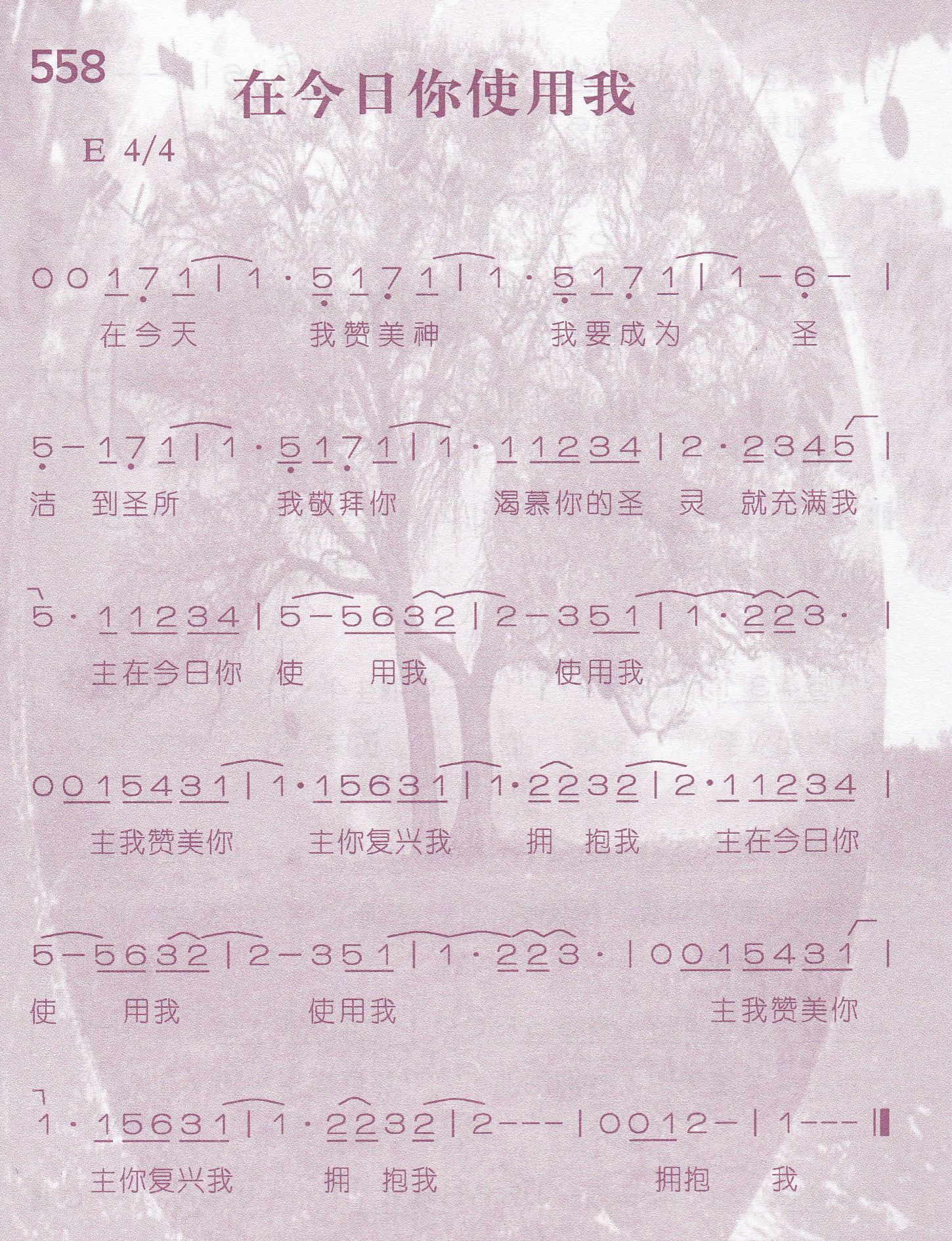 在今日你使用我 第 1 页