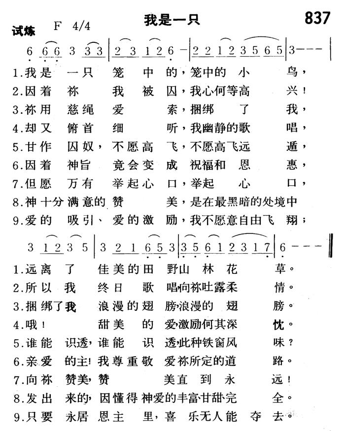 我是一只 第 1 页