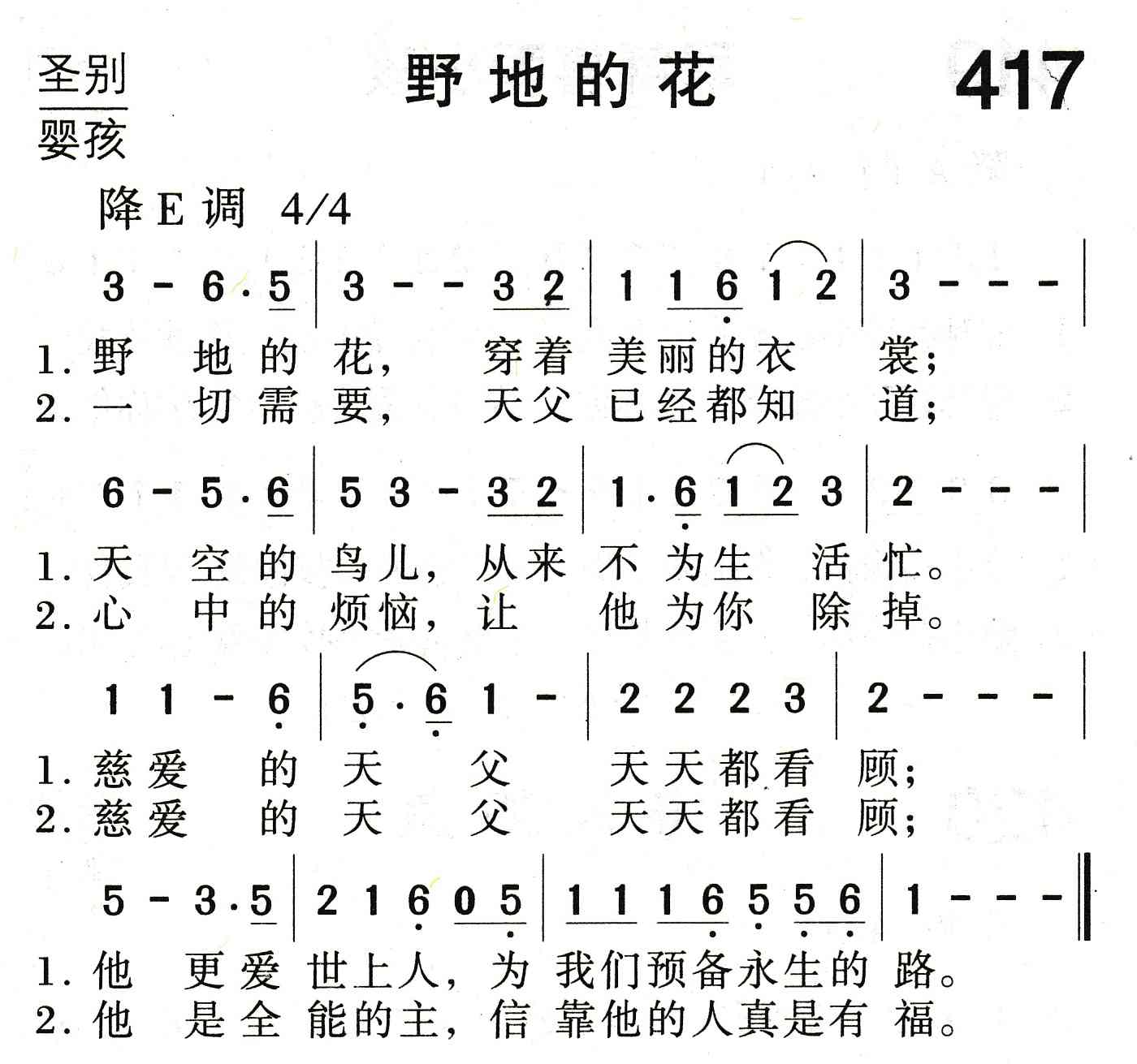 野地的花 第 1 页