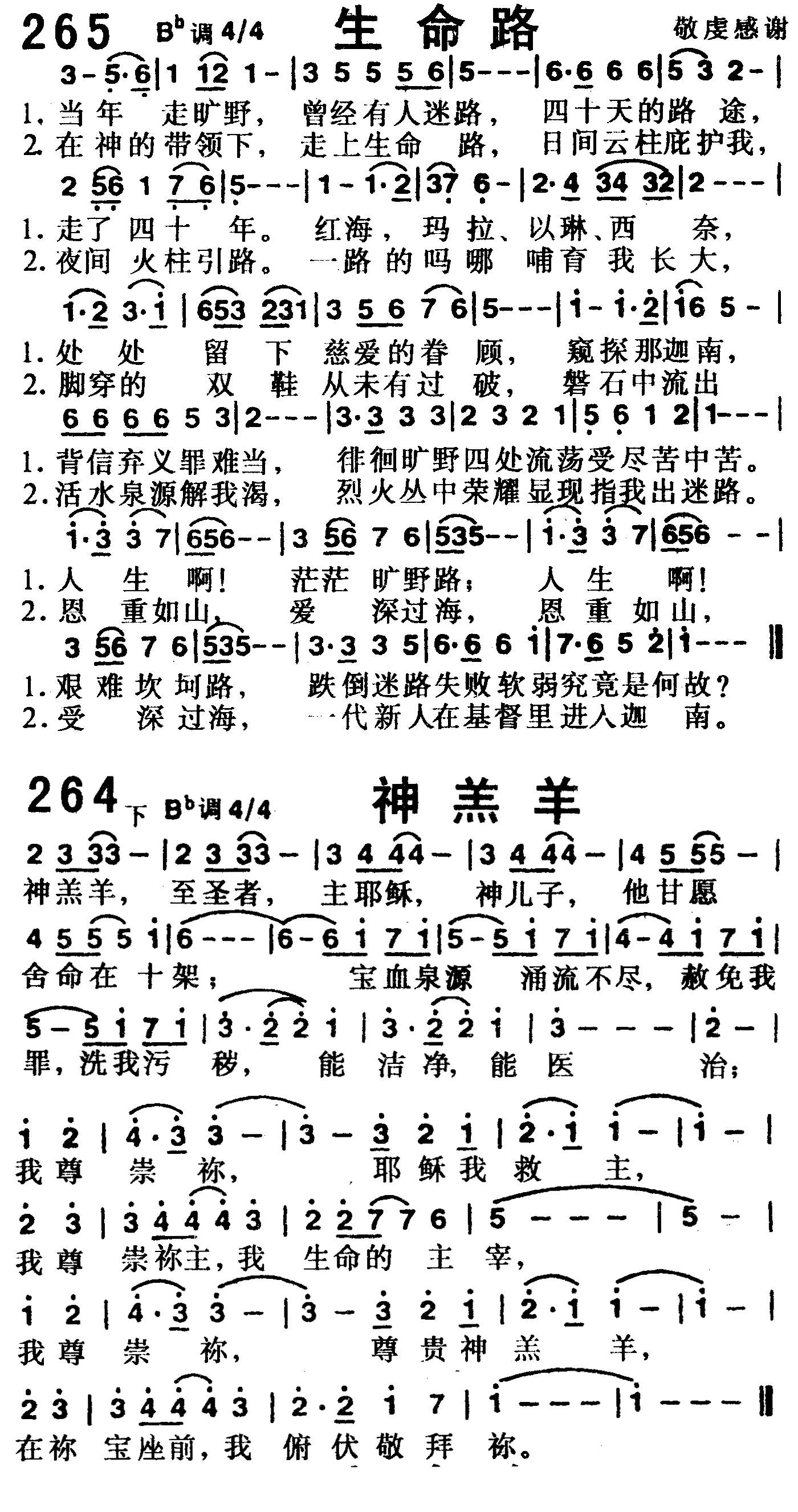 生命路（神羔羊） 第 1 页
