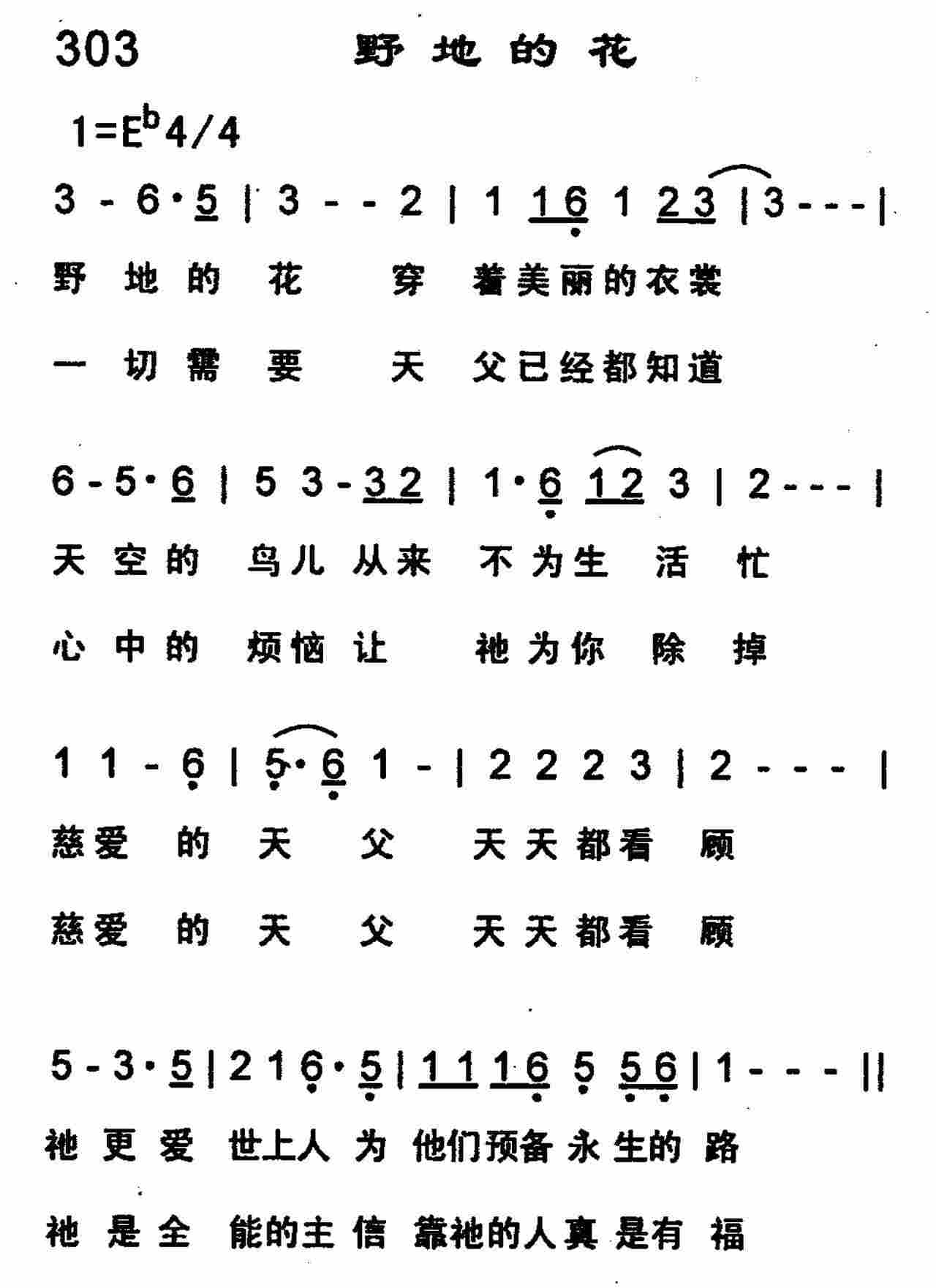 野地的花 第 1 页