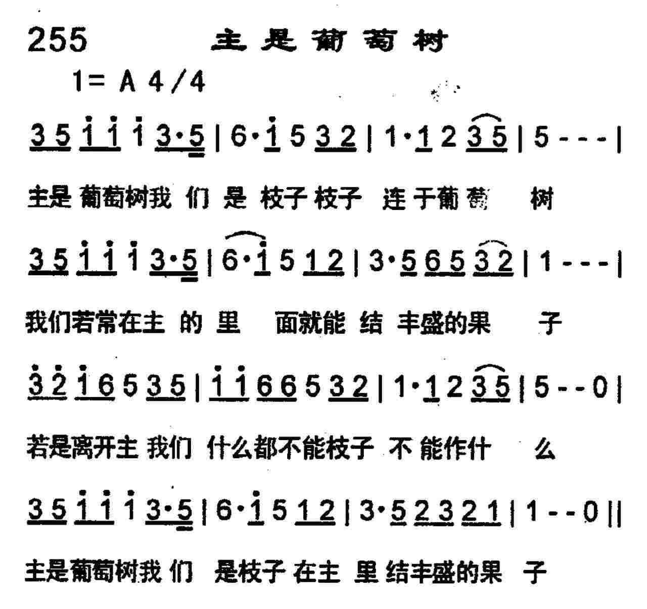 主是葡萄树 第 1 页