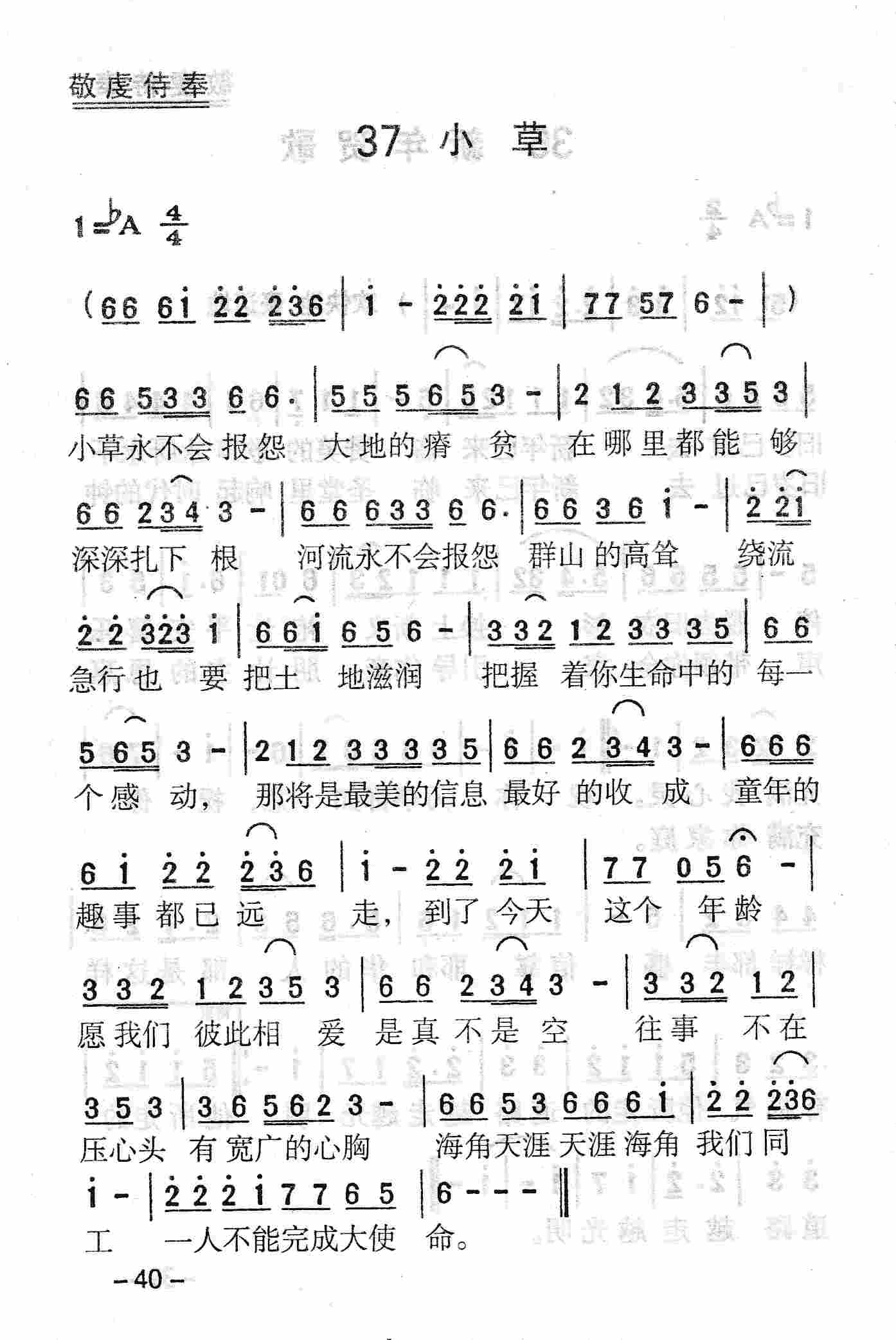 小草 第 1 页
