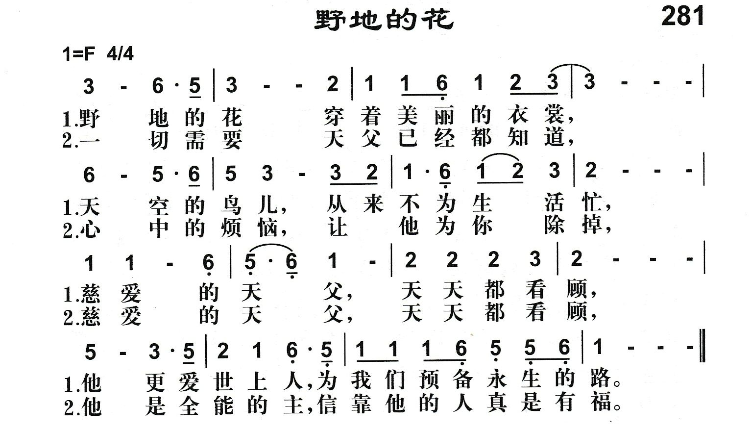 野地的花 第 1 页