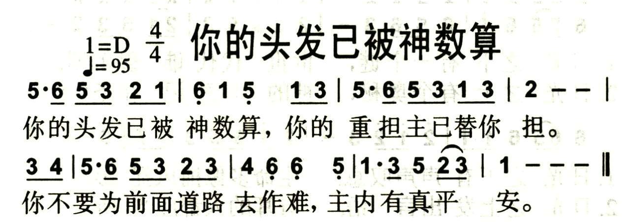 你的头发已被神数算 第 1 页