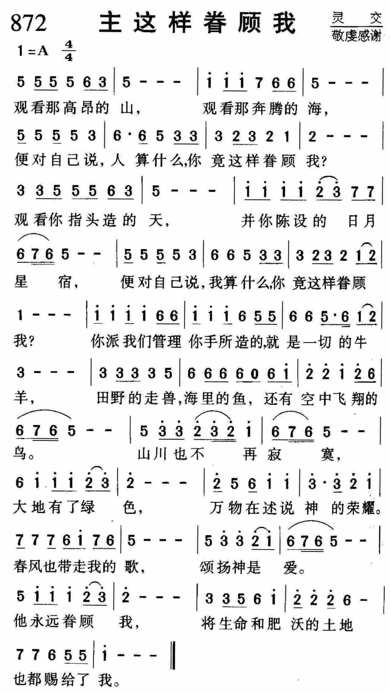 主这样眷顾我 第 1 页